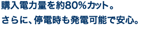 購入電力量を約80%カット。