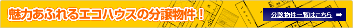 魅力あふれるエコハウスの分譲物件！