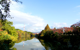 尼崎市内